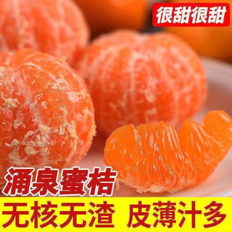 临海高山涌泉蜜桔无核橘子新鲜应季水果孕妇桔子黄岩网红桔子