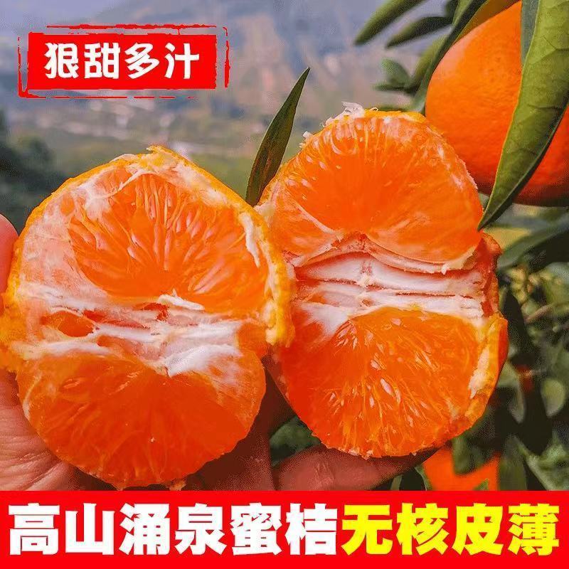 临海高山涌泉蜜桔无核橘子新鲜应季水果孕妇桔子黄岩网红桔子