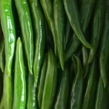 青尖椒