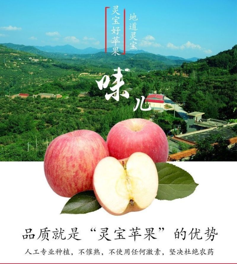正宗灵宝寺河山红富士苹果带箱10斤装脆甜多汁酥脆无渣