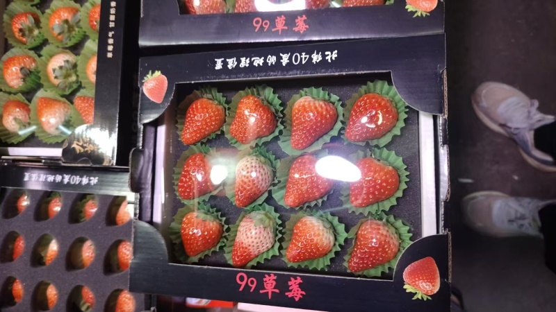 安徽红颜草莓新鲜直供**超市档口，量大从优