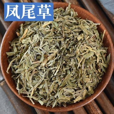 凤尾草中药材正品凤尾七鸡爪草阉鸡草金鸡尾中草药