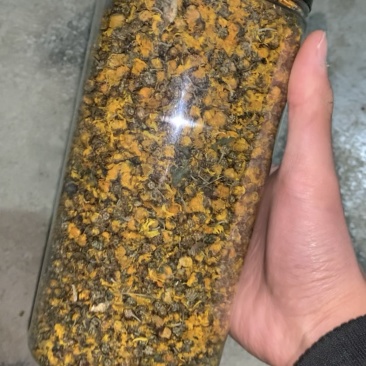 贵州深山野菊花茶