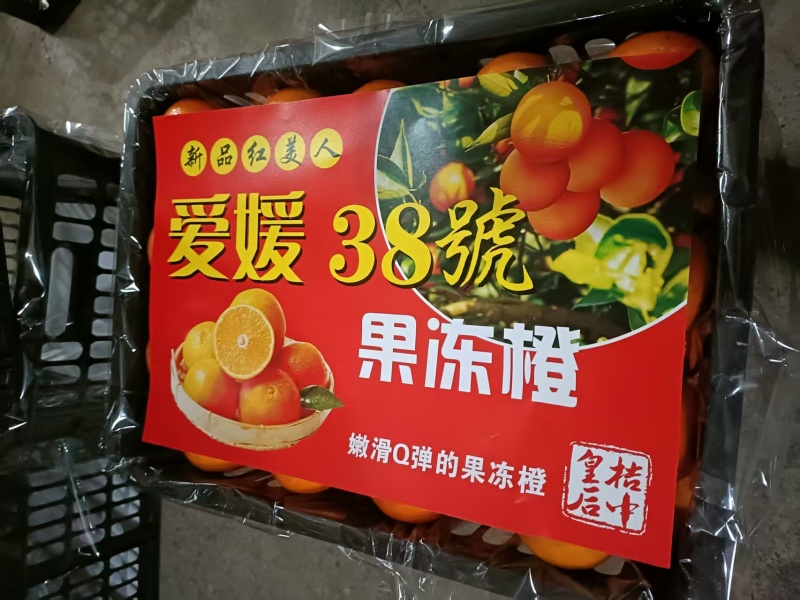 湖南湘西纽荷尔脐橙，货源充足，意思火红口感好，价格美丽