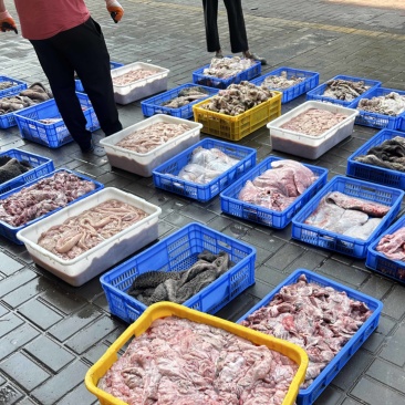 佛山新鲜牛杂