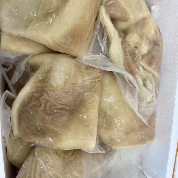 牛肚牛大肚蜂窝肚