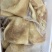 牛肚牛大肚蜂窝肚