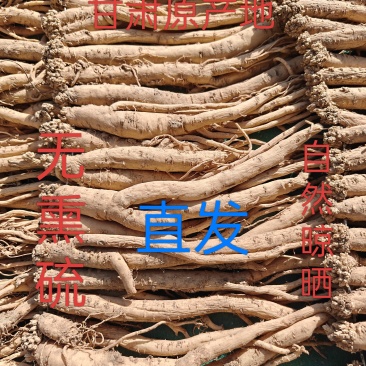 甘肃定西原产地无熏硫自然晾晒党参。可泡水煲汤