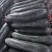 卡其黑靓帅铁心黑皮大冬瓜种子黑绿厚肉大果高产抗病商品性佳