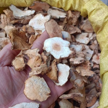 广西贺州野生土茯苓干片，手工切片，太阳晒干，无熏硫