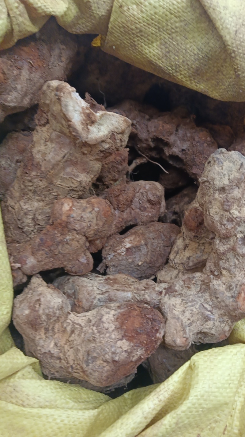 广西贺州野生土茯苓干片，手工切片，太阳晒干，无熏硫
