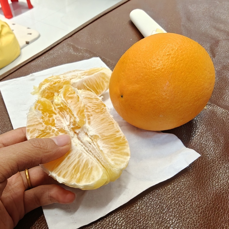 纽荷尔脐橙，只有6000斤左右