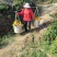 正宗赣南脐橙原产地现摘现发新鲜带叶顺丰包邮