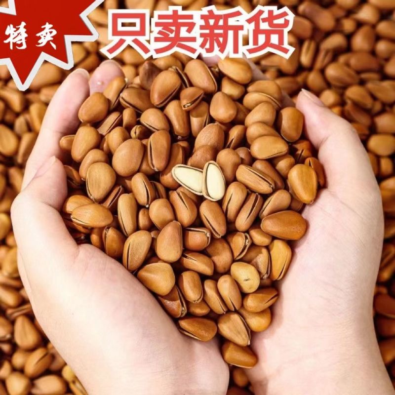 精品华山松子商超品质工厂直销一件代发