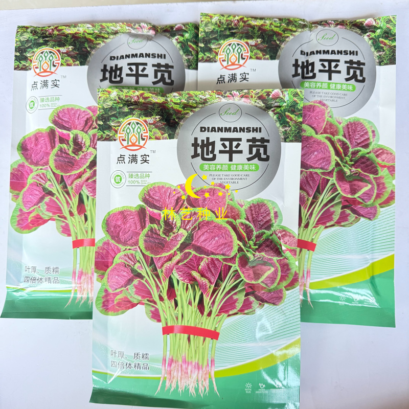点满实地平苋苋菜种子中熟厚叶口感质糯苋菜种子耐热耐旱抗病