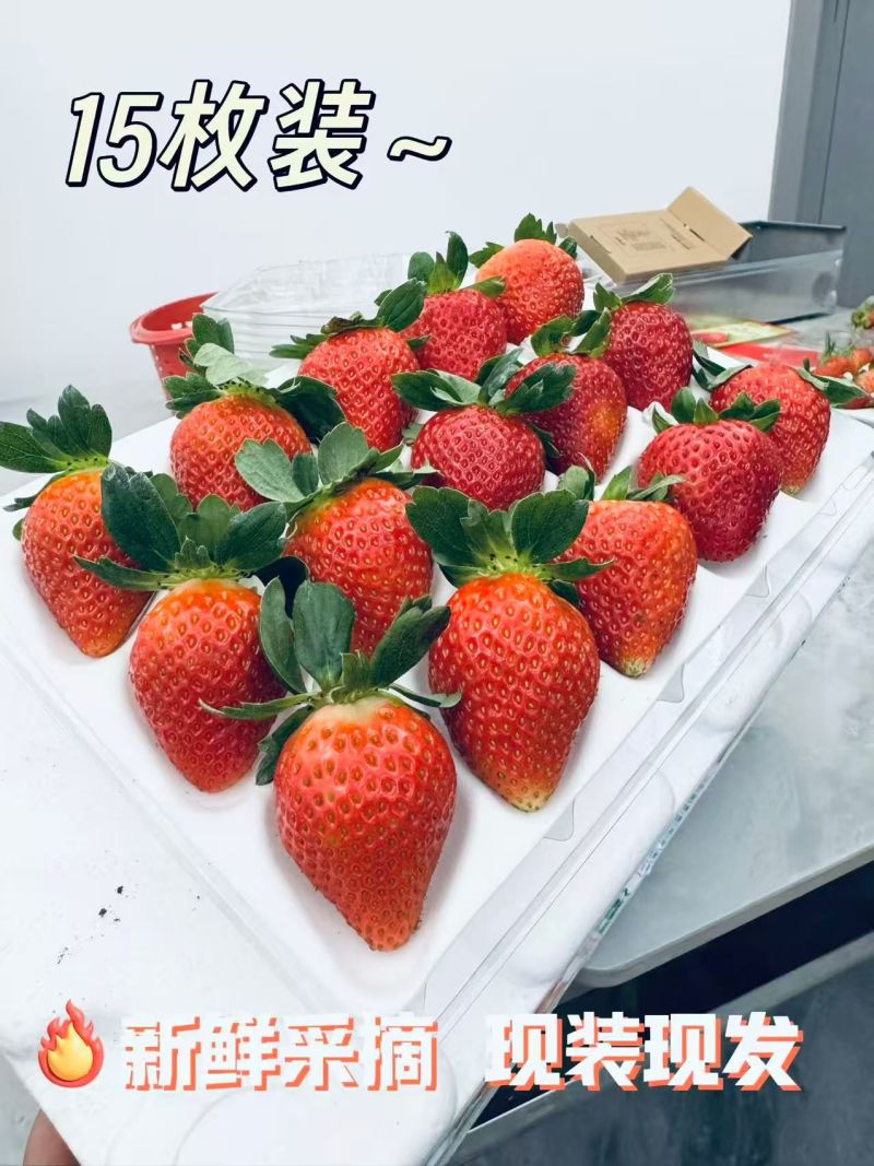 蛋糕店，奶茶店，冰糖葫芦，专用妙香批发零售