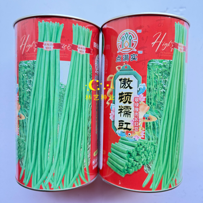 傲顿糯豇翠绿厚肉长豆角种子中早熟紫花绿荚纤维少肉厚甜糯