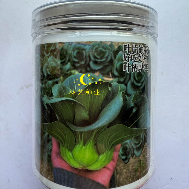 苏亚雷斯苏州青种子青梗菜油亮黑叶春夏秋冬四季越冬耐寒蔬菜