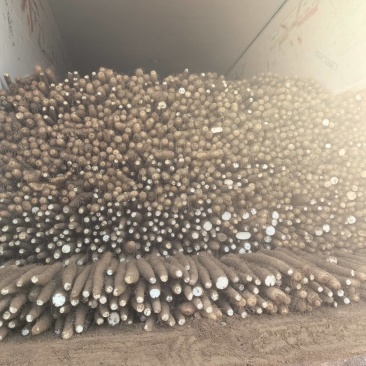 白玉山药二路。