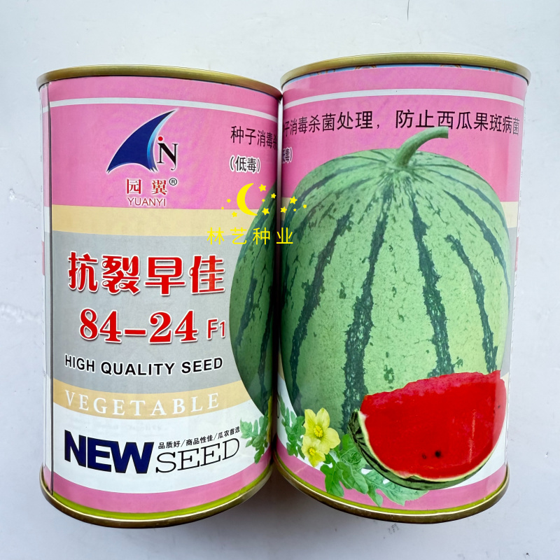 园翼抗裂早佳8424杂交西瓜种子早熟甜脆高产抗病抗裂脆甜