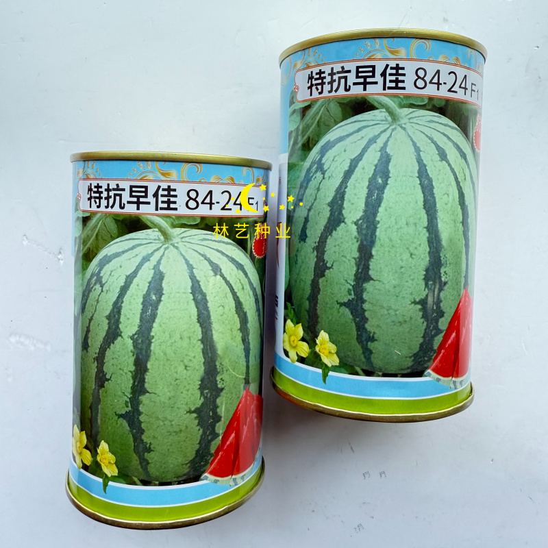 园翼特抗早佳8424西瓜种子早熟抗病抗裂皮薄高产口感好