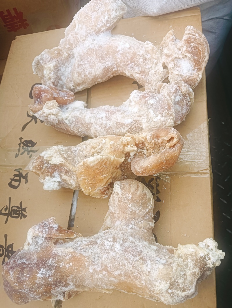 牛肠，牛子肠，量大从优，感兴趣的老板欢迎各位光临！