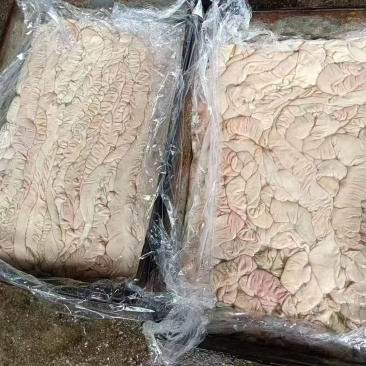 生大肠，去油80/85，出成19/19+