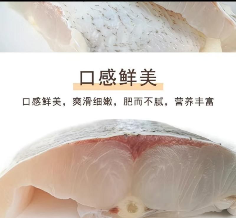 腌鲜千岛湖跳水鲢鱼块非遗制作低盐腌制