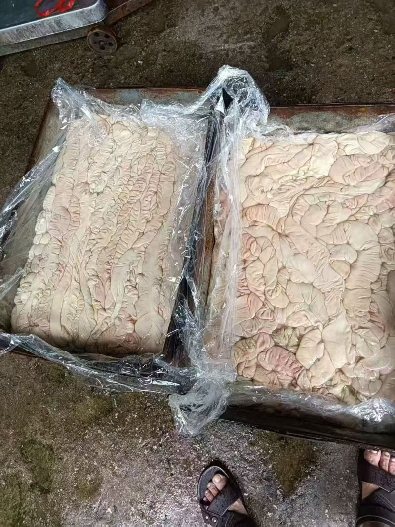 生大肠，去油80/85，出成19/19+
