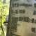 正宗青岗种子