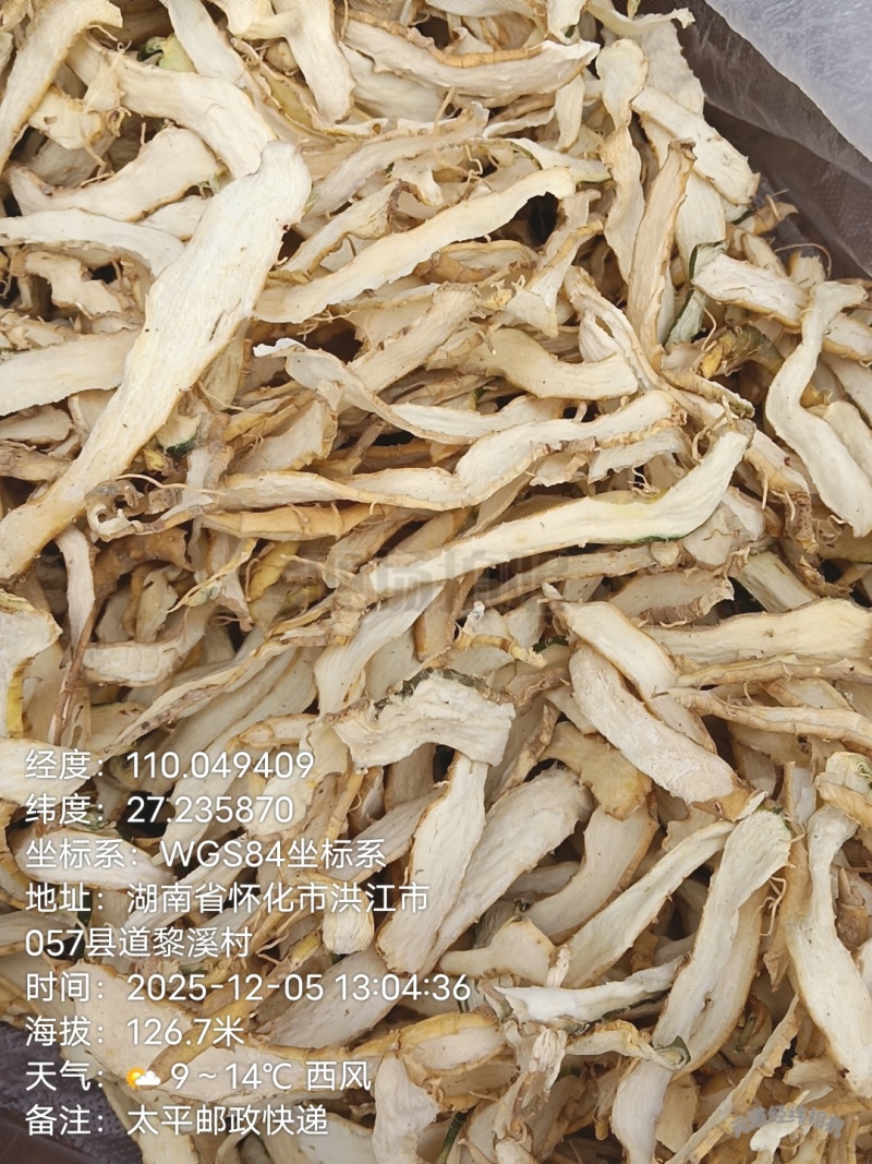 玉竹、鲜货.干片、玉竹条都有销售、质优价廉、可长期供货