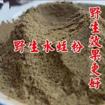 水蛭粉中药材正品水蛭粉现磨批发