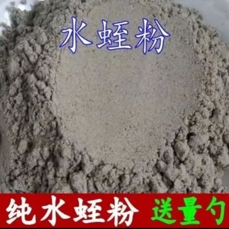 水蛭粉中药材正品水蛭粉现磨批发