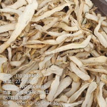 玉竹、鲜货.干片、玉竹条都有销售、质优价廉、可长期供货