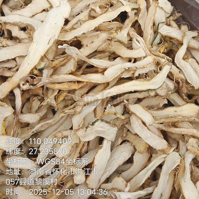 玉竹、鲜货.干片、玉竹条都有销售、质优价廉、可长期供货