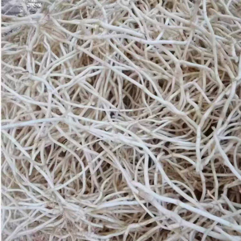 湖北精品鱼腥草折耳根大量上市品质保证量大从优