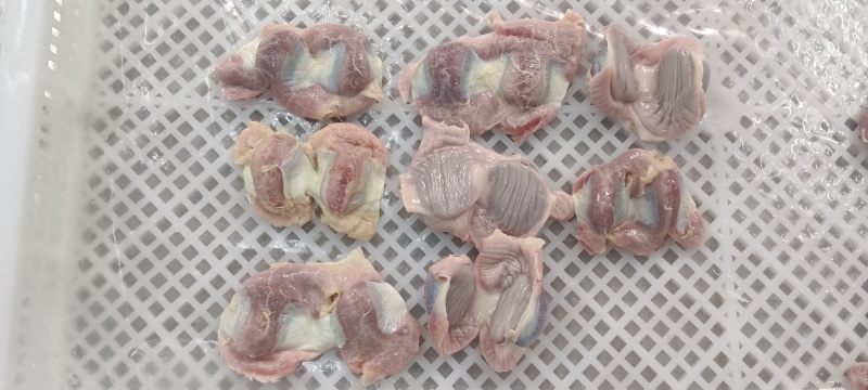 老鸡胗