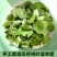 淫羊藿干货高含量柔毛淫羊藿批发