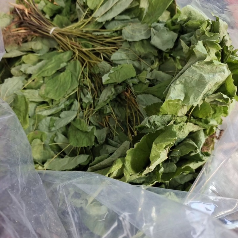 淫羊藿干货高含量柔毛淫羊藿批发