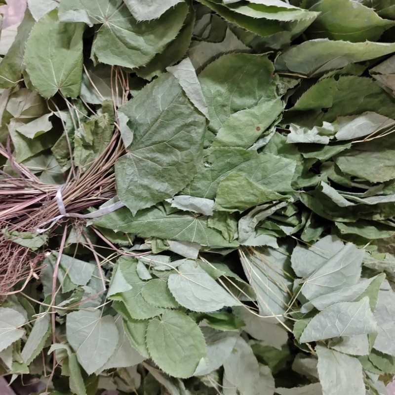 淫羊藿干货高含量柔毛淫羊藿批发