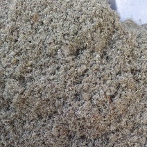 《茵陈》新棉茵陈干净无杂质实物拍摄货真价实