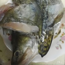 黄山臭鳜鱼头鱼尾非遗制作低盐腌制价廉物美