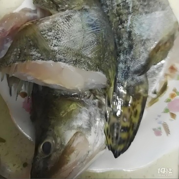 黄山臭鳜鱼头鱼尾非遗制作低盐腌制价廉物美