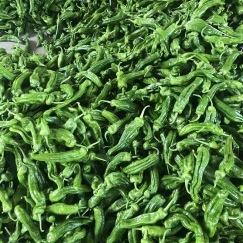 湖北精品芜湖椒大量上市品质保证量大从优一手货源