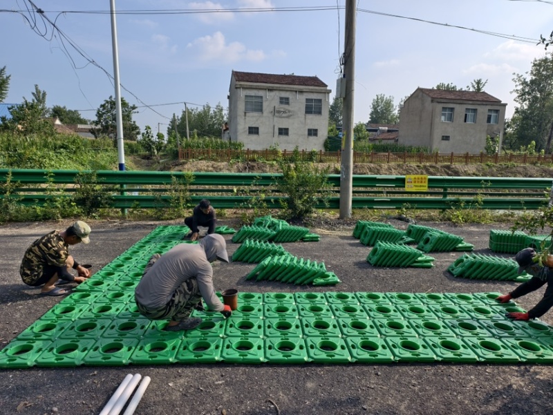 人工生态浮岛绿化植物浮床污水处理优化水质