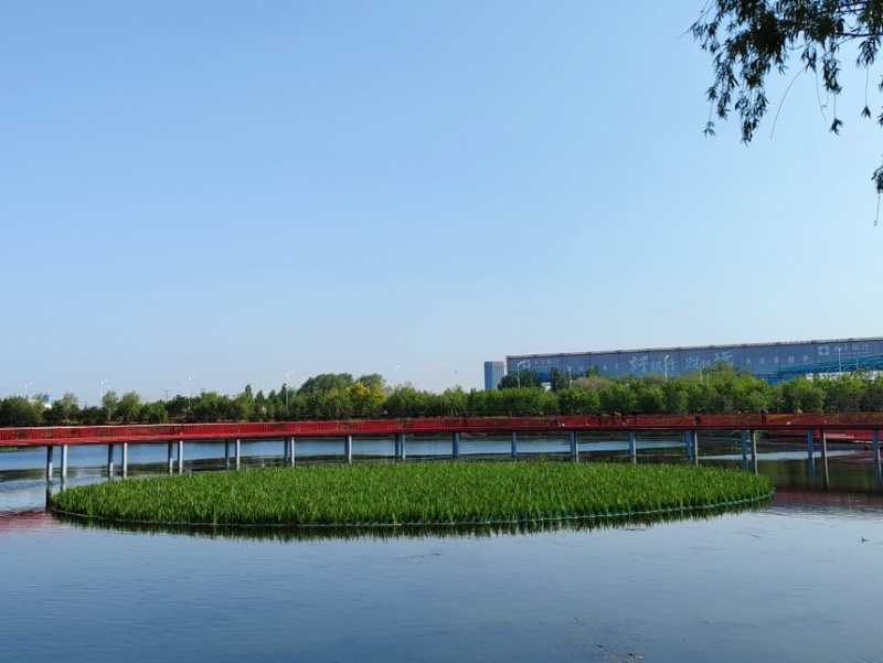 人工生态浮岛绿化植物浮床污水处理优化水质