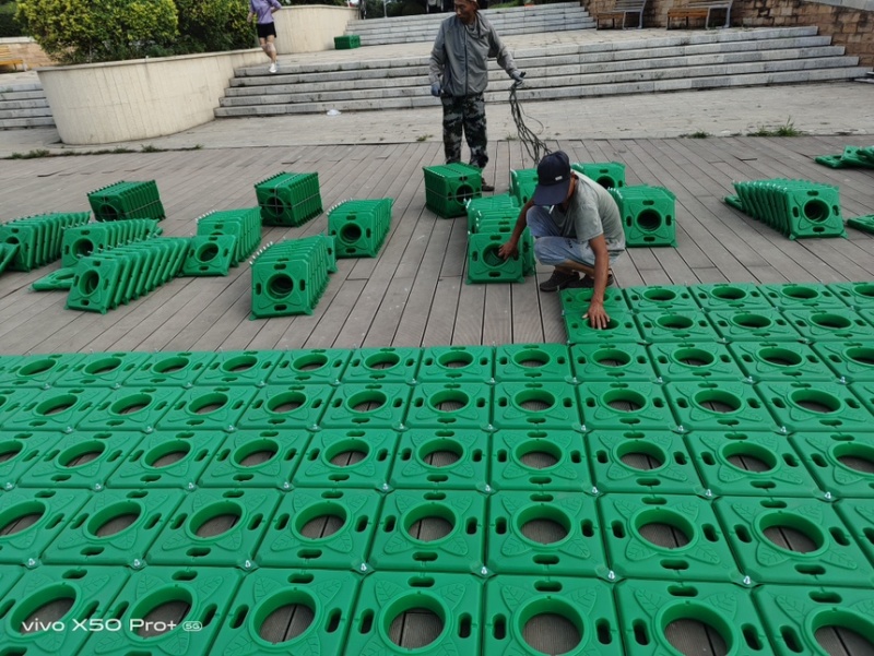 人工生态浮岛绿化植物浮床污水处理优化水质