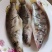 黄山臭鳜鱼仔非遗制作低盐腌制