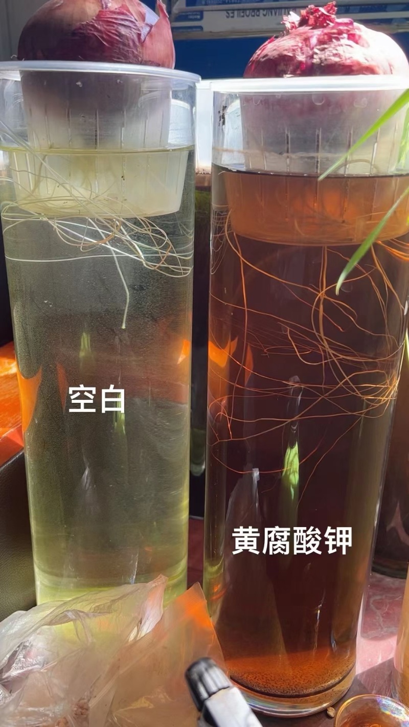 纯矿源黄腐酸钾抗重茬增产量每袋25kg厂家直发