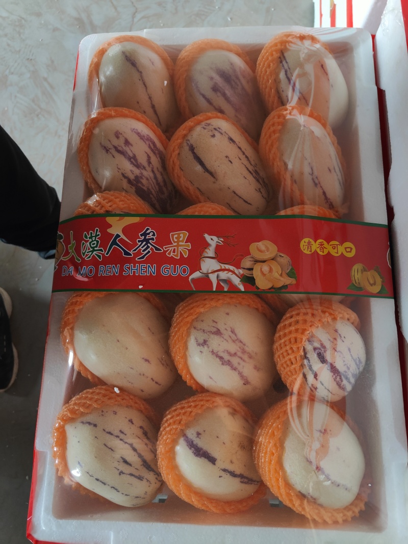人参果